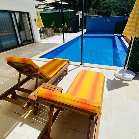 Lily Hotel *